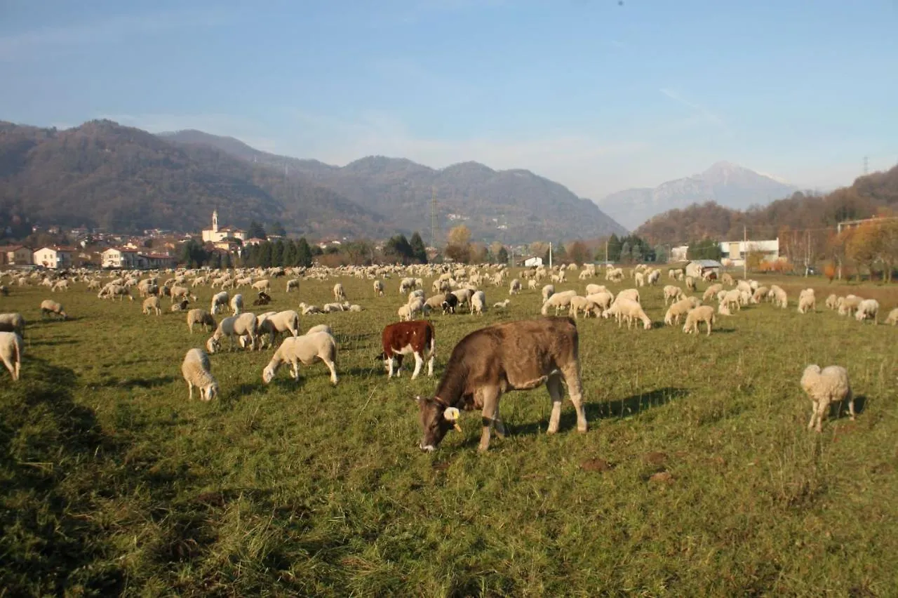 Amata Valgre Affittacamere, Comfort E Pulizia Eccezionali!! Olginate Italie